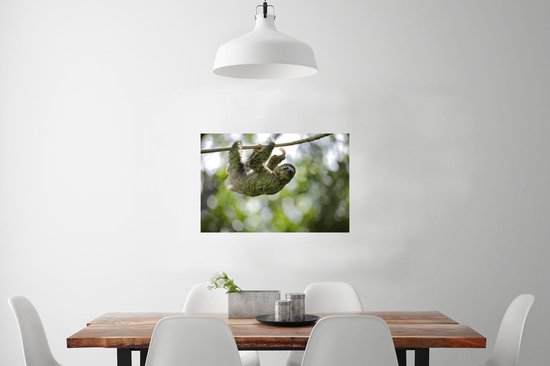 Affiche - Un paresseux accroché dans les arbres - 60x40 cm