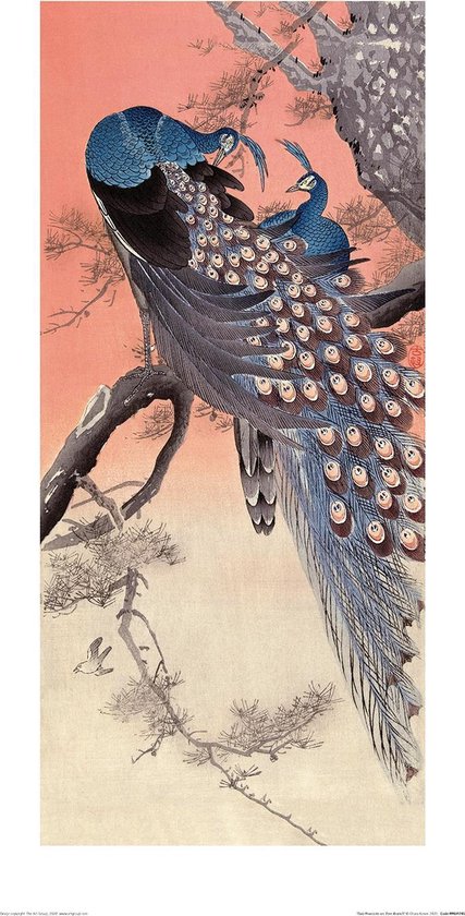 Poster - Ohara Koson Two Peacocks On Tree Branch - 60 X 30 Cm - Multicolor