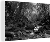 Canvas Schilderij Regenwoudkreek - zwart wit - 90x60 cm - Wanddecoratie