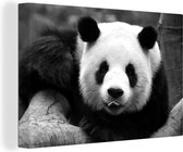Canvas Schilderij Panda met een uitgestoken tong - zwart wit - 60x40 cm - Wanddecoratie