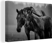 Canvas Schilderij Quarter paard met veulen in mistig weiland - zwart wit - 90x60 cm - Wanddecoratie
