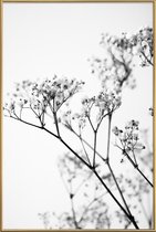 JUNIQE - Poster met kunststof lijst Deni's Baby Breath -20x30 /Grijs &