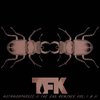 Thousand Foot Krutch - Metamorphosiz: The End (CD)