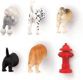 Honden Derrières magneten - Koelkastmagneten - Set van 6 stuks