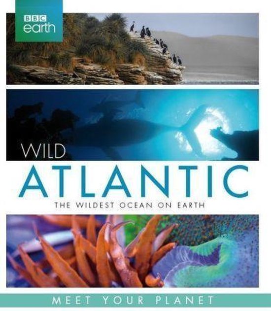 BBC Earth - Atlantic (Blu-ray)