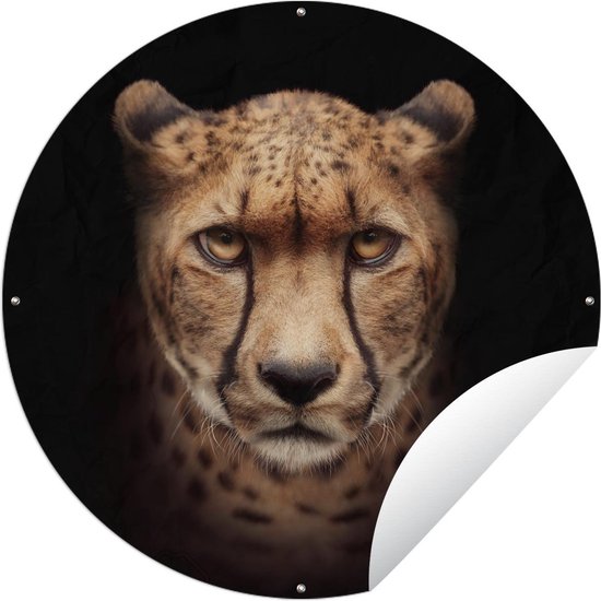 Tuincirkel Cheetah - Dieren - Zwart - 60x60 cm - Ronde Tuinposter - Buiten