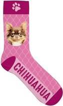 sokken chihuahua polyester roze maat 31-36