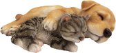 labrador/kitten 18,1 cm polyresin bruin/grijs