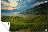 Tuinposter - Tuindoek - Tuinposters buiten - China - Wolken - Planten - 120x80 cm - Tuin