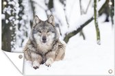 Tuindecoratie Wolf - Sneeuw - Boom - 60x40 cm - Tuinposter - Tuindoek - Buitenposter