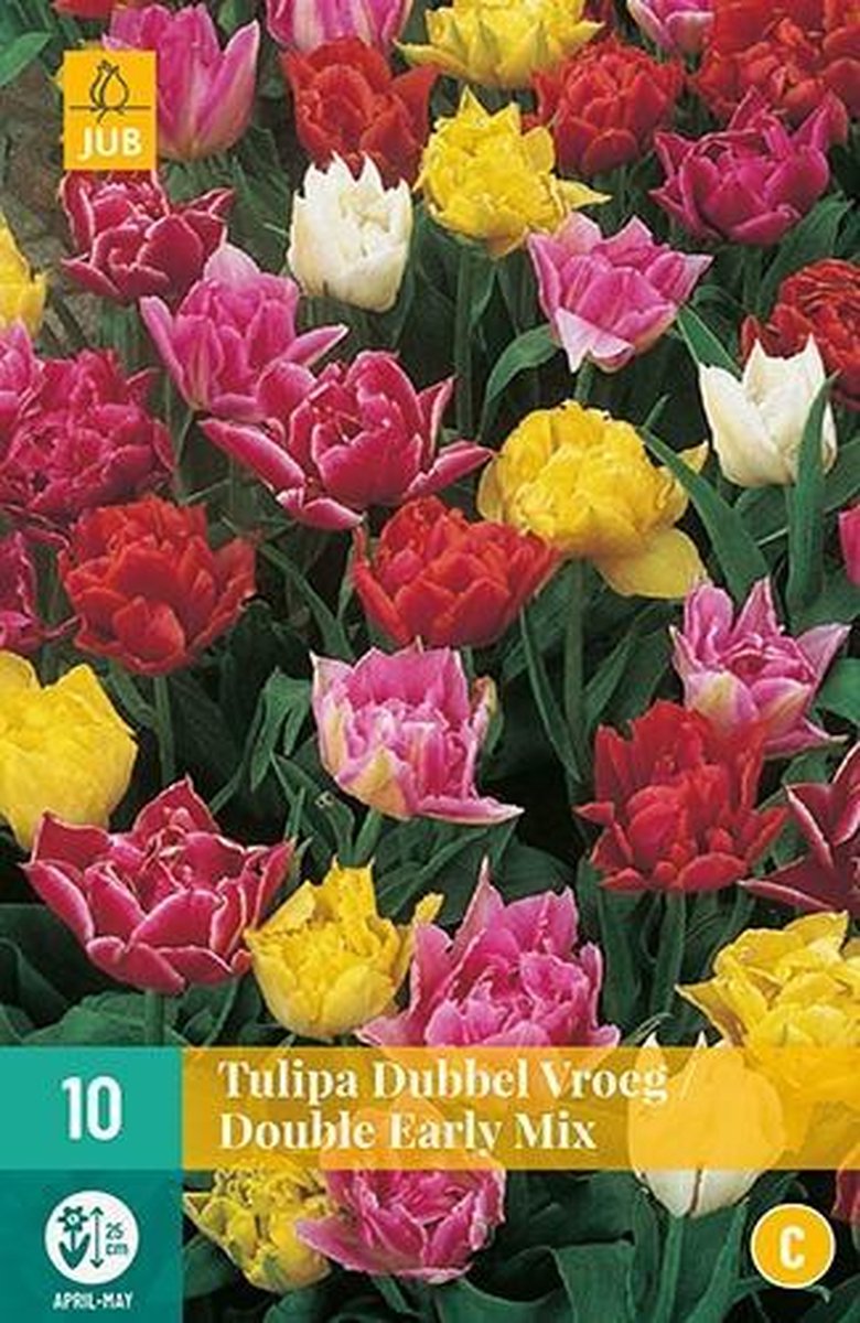 X 10 Tulipa Dubbel Vroeg mix