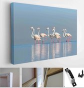 Wild african birds. Group birds of pink african flamingos walking around the blue lagoon on a sunny day - Modern Art Canvas - Horizontal - 1913618017 - 80*60 Horizontal