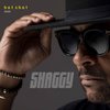 Shaggy - Hot Shot 2020 (CD)