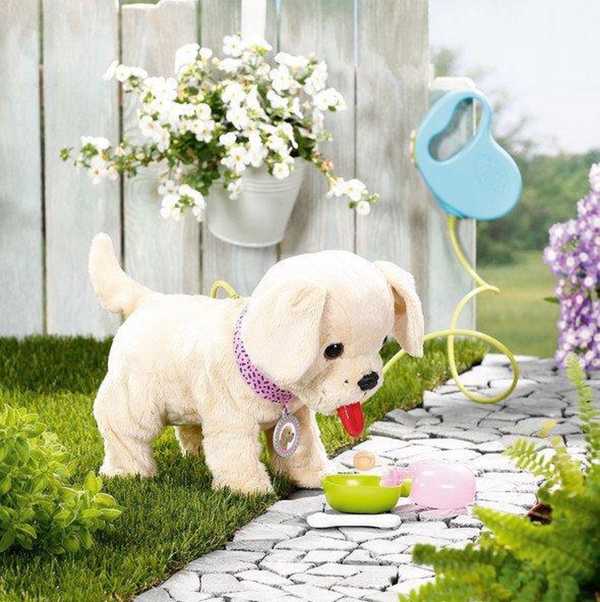 Honden halsband en riem - De La Haye Collection