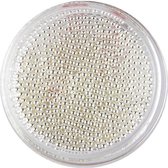 DRM Nageldecoratie Kaviaar Zilver - 1mm #1