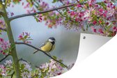 Muurdecoratie Vogel - Boom - Bloesem - 180x120 cm - Tuinposter - Tuindoek - Buitenposter