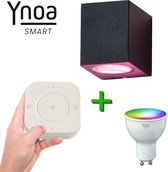 Ynoa smart home - Slimme buitenverlichting Nice - Zwart - Inclusief afstandsbediening - Zigbee 3.0 - RGB diverse kleuren en wittinten instelbaar - IP54 - Smart wandlamp voor binnen