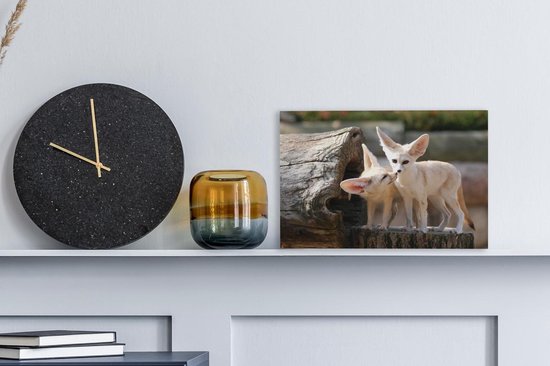 Deux adorables renards Fennec sur un tronc d'arbre Toile 30x20 cm - petit - Tirage photo sur Toile peinture (Décoration murale salon / chambre) / Animaux sauvages Peintures sur toile