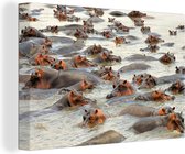 Canvas Schilderij Nijlpaard - Water - Dieren - 120x80 cm - Wanddecoratie