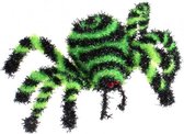 hypno spiraal spin 6 x 4 cm zwart/groen