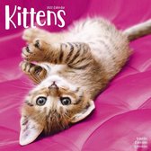I love Kittens - Ich liebe Kätzchen 2022 - 18-Monatskalender