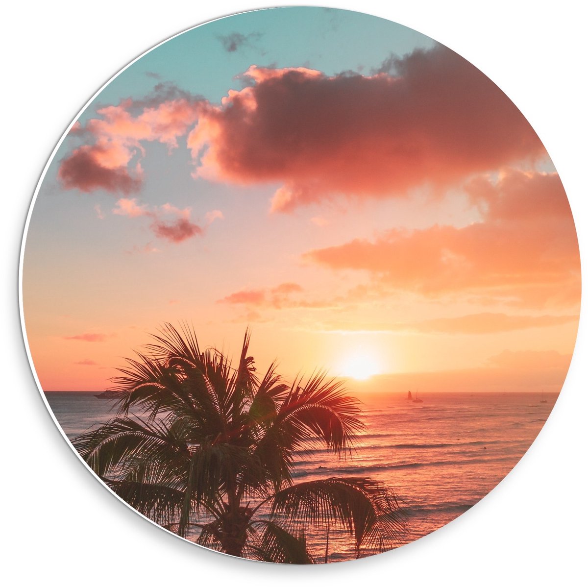 KuijsFotoprint Schilderij - Palmboom Bij Zonsondergang - Groen, Blauw En Roze - 30 X 30 Cm