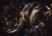 120 x 80 cm - Glasschilderij - olifant en tropische vogels en bloemen - Fantasy