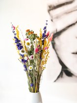 Droogbloemen Boeket - Explosion + vaas - Gedroogde Bloemen - Dried Flowers - Flower Forever
