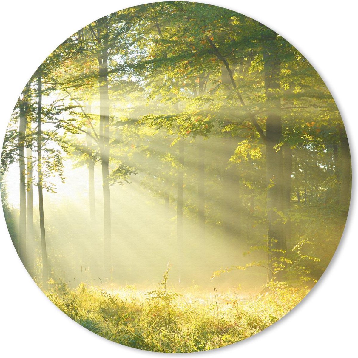 Muismat rond 50x50 cm - Mousepad Bos - Licht - Lente - Ronde muismatten