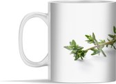 Mok - Vers geplukte tijm met een zwakke schaduw - 350 ml - Beker