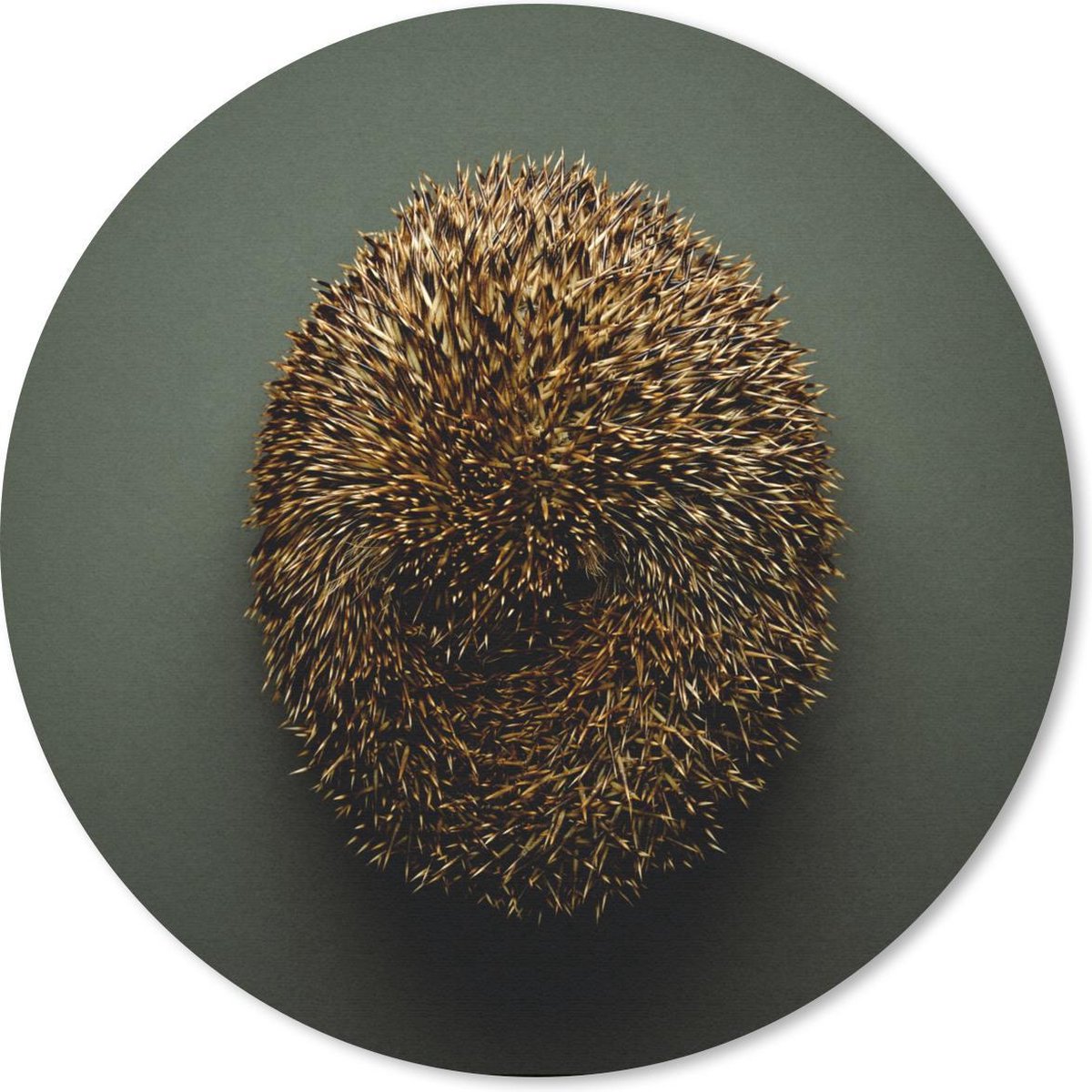 Muismat rond 40x40 cm - Mousepad Egel - Bruin - Groen - Ronde muismatten