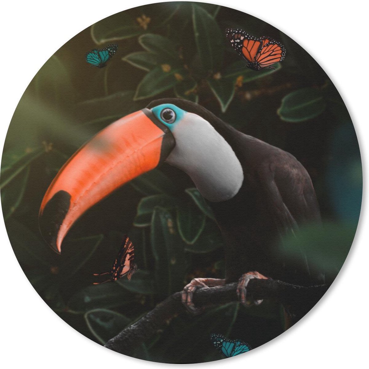 Muismat rond 50x50 cm - Mousepad Toekan - Vlinders - Planten - Ronde muismatten