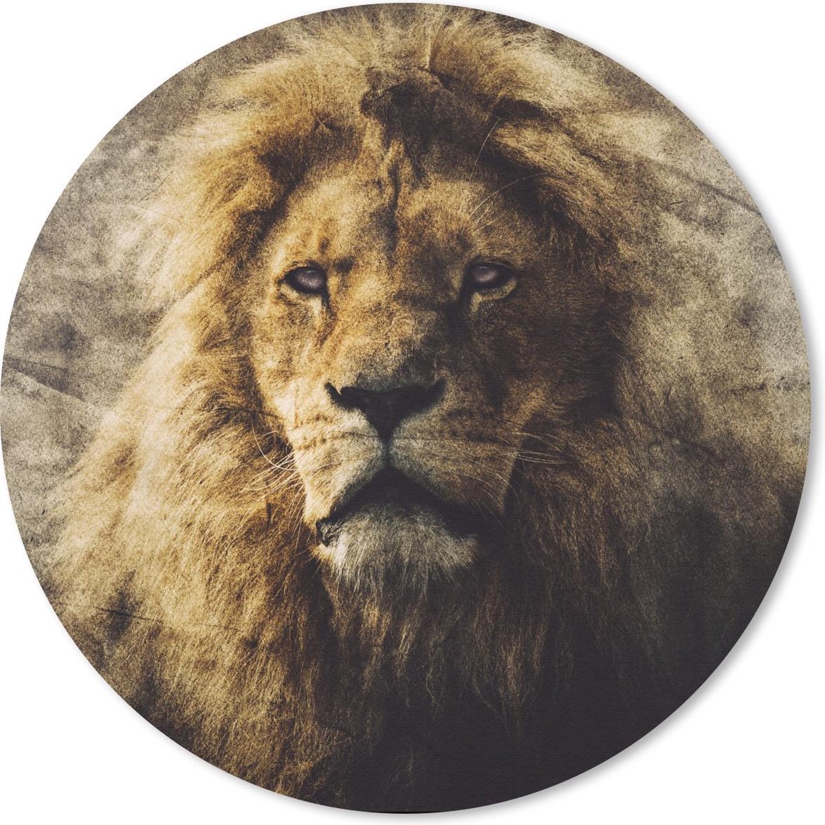 Muismat rond 50x50 cm - Mousepad Leeuwen - Abstract - Kleur - Ronde muismatten