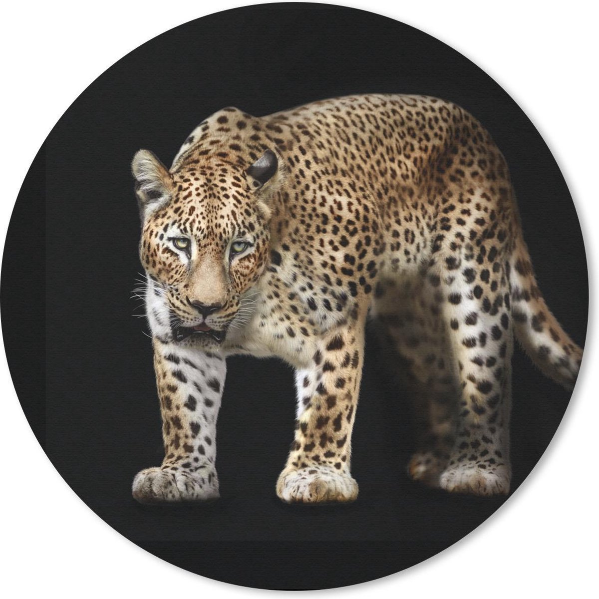Muismat rond 40x40 cm - Mousepad Luipaard - Vacht - Wild - Ronde muismatten