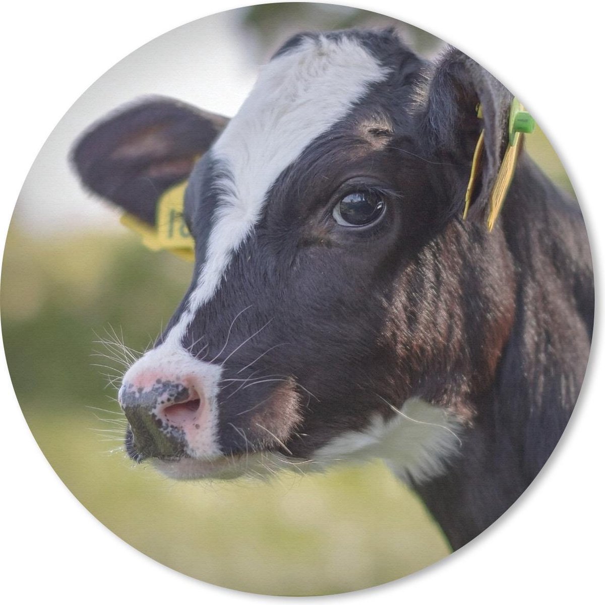Muismat rond 40x40 cm - Mousepad Koe - Kalf - Dieren - Boerderij - Ronde muismatten