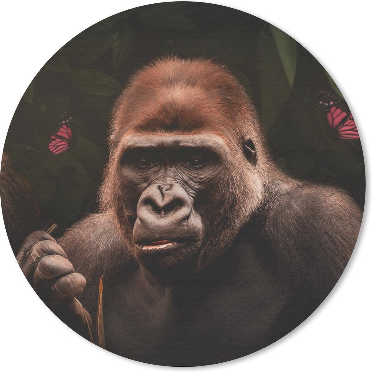 Muismat rond 40x40 cm - Mousepad Dieren - Vlinder - Aap - Ronde muismatten