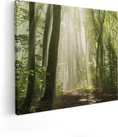 Artaza Canvas Schilderij Bos Met Bomen En Zonneschijn - 100x80 - Groot - Foto Op Canvas - Canvas Print