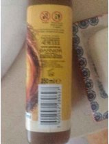 Shampoo Garnier (350 ml)