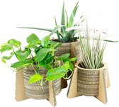Kartonnen Bloem- en Plantenpot met Pootjes - Madelief - Maat S - Duurzaam Karton - Hobbykarton - KarTent