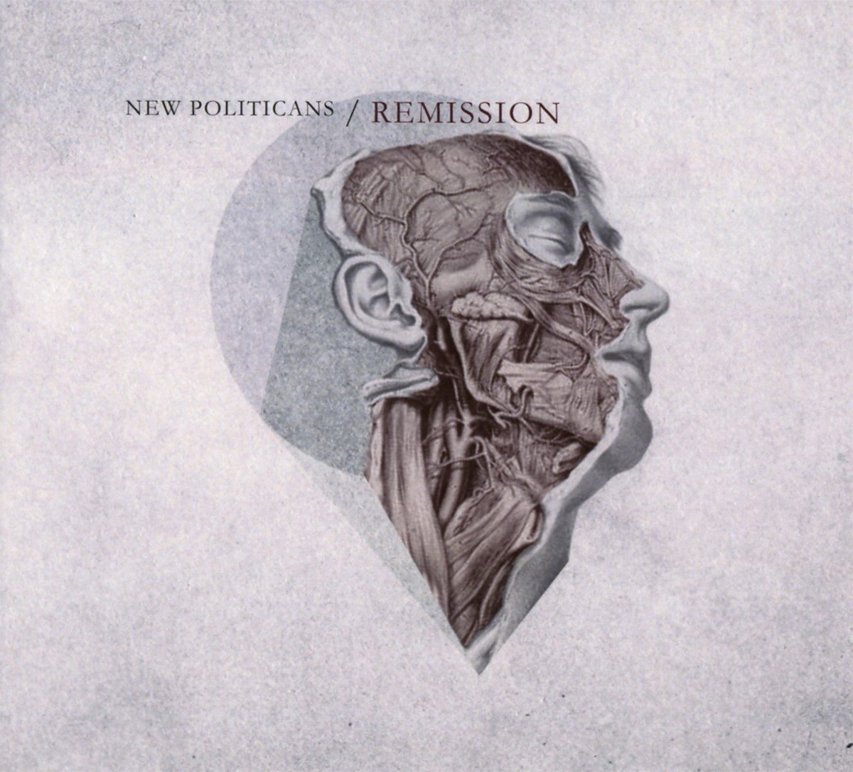 New Politicians - Remission (CD) (Limited Edition)
