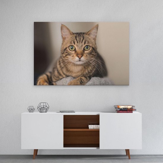 Artaza - Peinture sur toile - Chat aux yeux larges - 90 x 60 - Photo sur toile - Impression sur toile