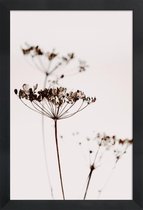 JUNIQE - Poster in houten lijst Dried Flowers Anetum 2A -40x60 /Bruin