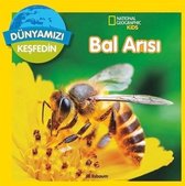 Dünyamızı Keşfedin Bal Arısı