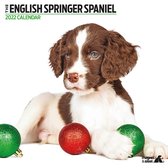 Engelse Springer Spaniel - Kalender 2022