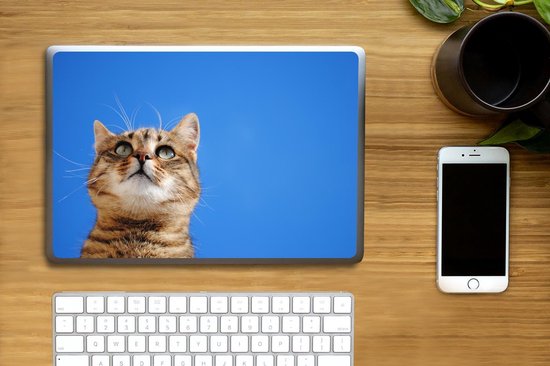 Autocollant pour ordinateur portable - 13,3 pouces - Chat - Marron - Ciel - Filles - Enfants - Garçons - Kids