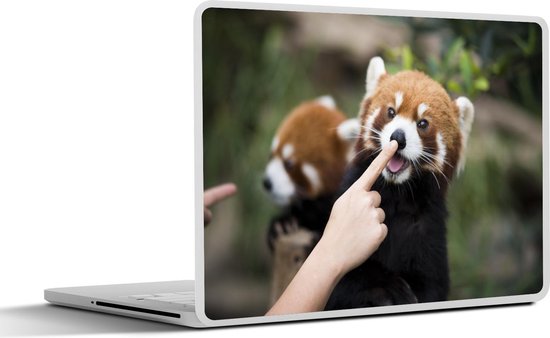 Stickers Ordinateur Portable Panda