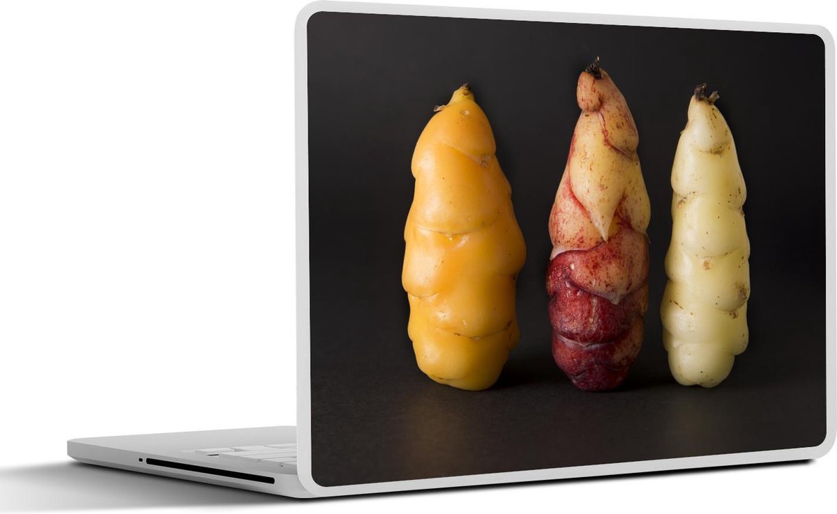 Afbeelding van product SleevesAndCases  Laptop sticker - 15.6 inch - Drie verschillende gekleurde ocas naast elkaar