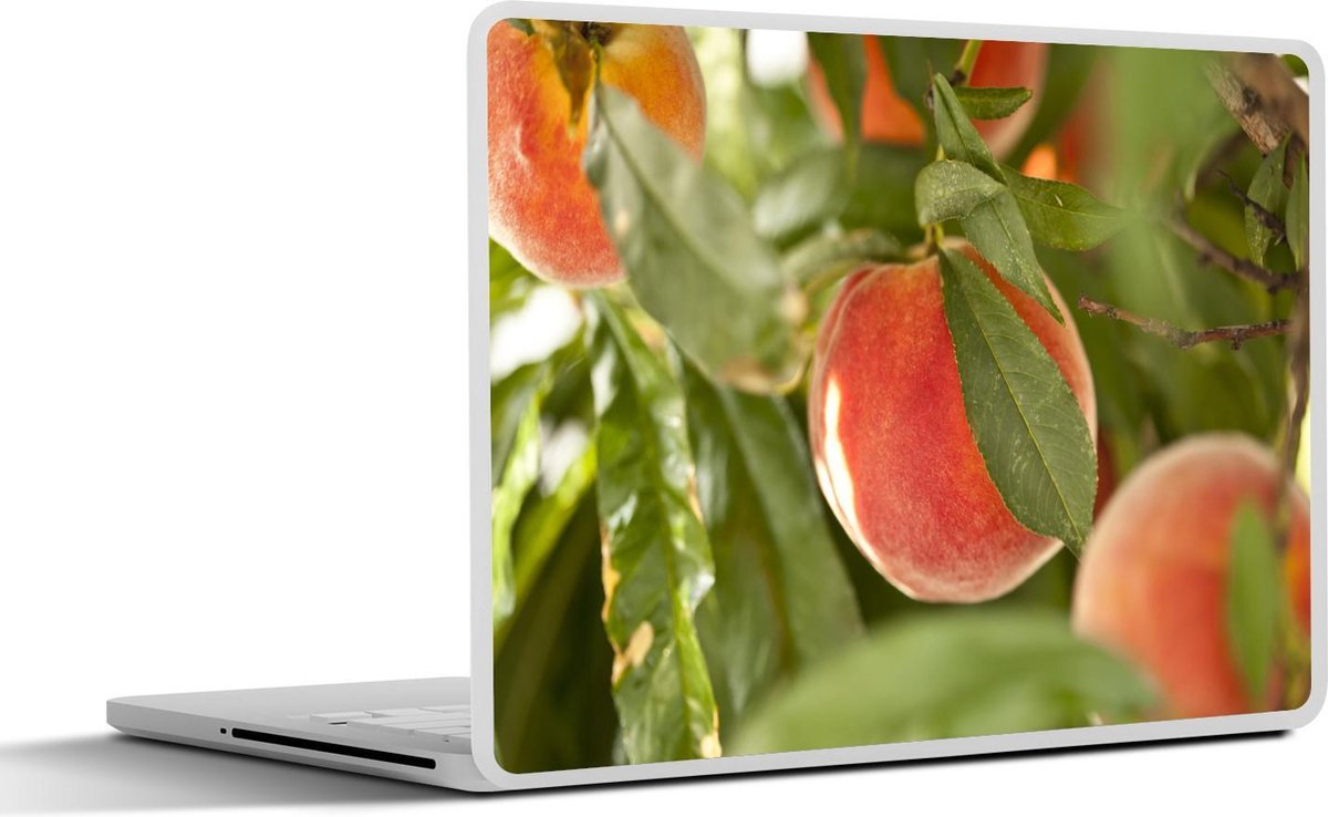 Afbeelding van product SleevesAndCases  Laptop sticker - 10.1 inch - Meerdere perziken aan een boom