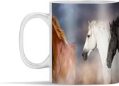 Mok - Paarden - Boerderijdieren - Vacht - 350 ml - Beker
