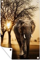 Tuinposter - Tuindoek - Tuinposters buiten - Olifant - Boom - Zon - 80x120 cm - Tuin